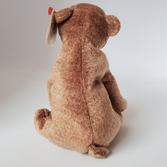 Ty Beanie Baby - Peacan the Brown Bear Plush Stuffed Animal Toy - Picture 4 of 9